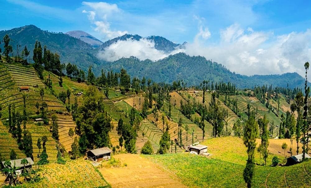 Desa Wisata Adat Ngadas